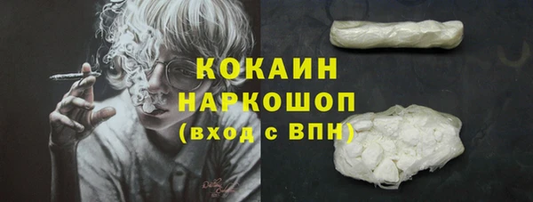 дживик Алзамай
