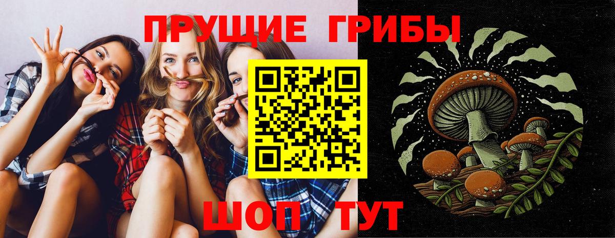 Псилоцибиновые грибы Psilocybe Махачкала