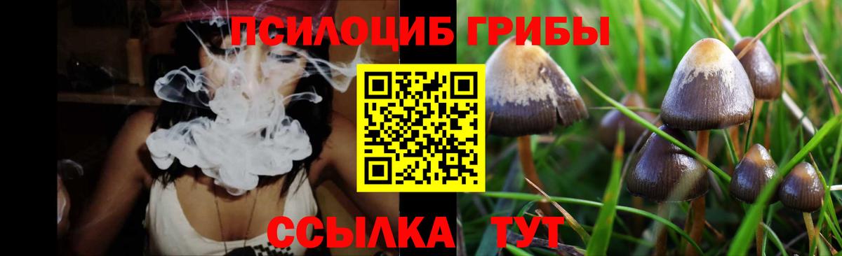 Псилоцибиновые грибы мухоморы  Вход с VPN  Псилоцибиновые грибы ЛСД  Махачкала 